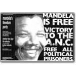mda33. Mandela Freedom Party