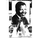 pic8830. Nelson Mandela Freedom March